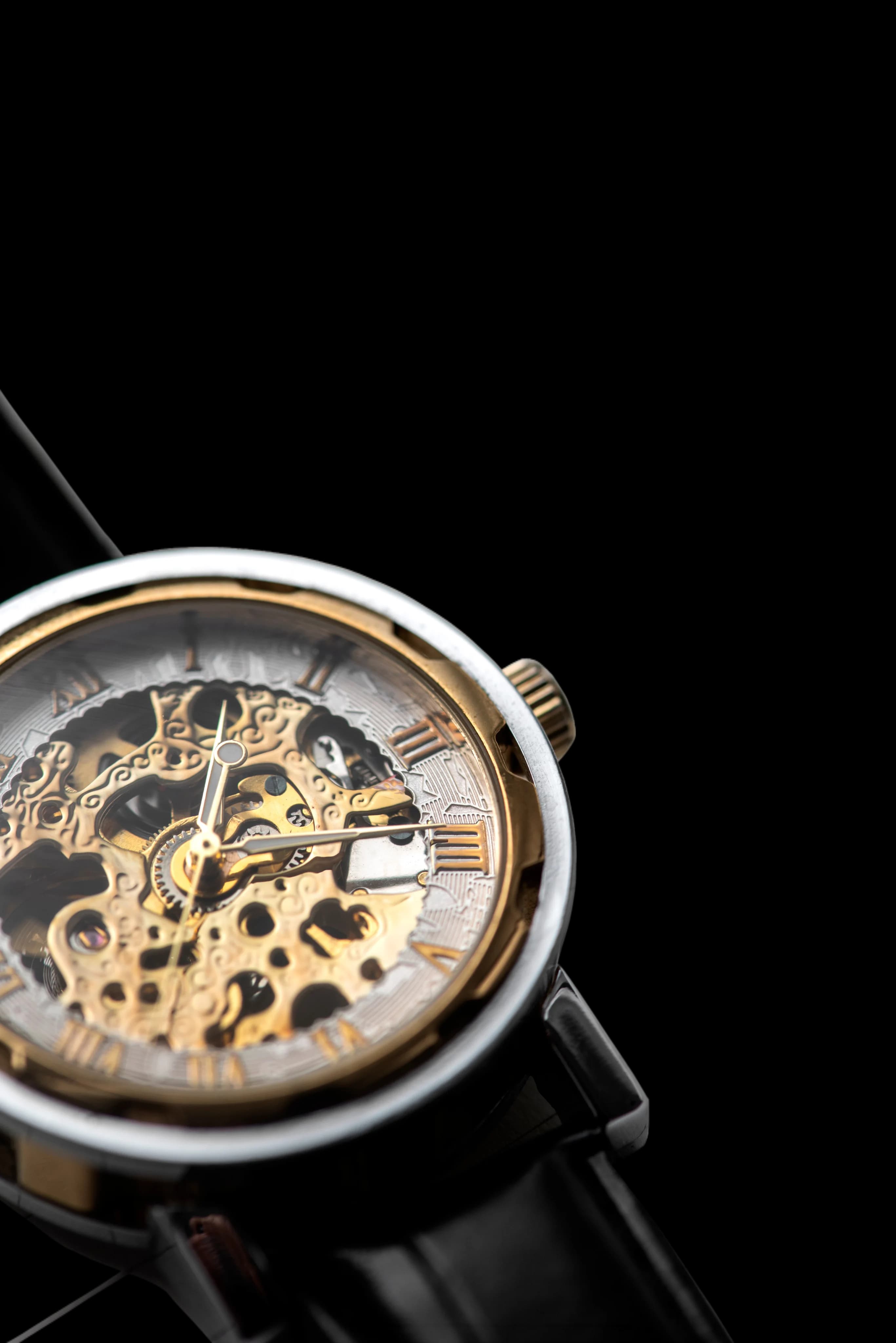 Luxury Watches
